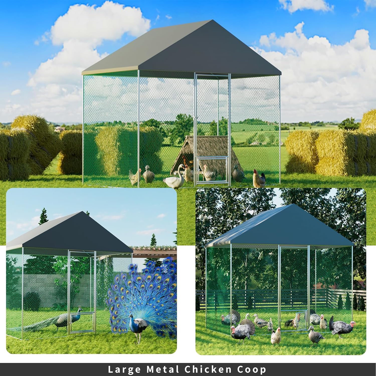 High-Quality Walk-In Chicken Coop with Metal Cage - Available Australia