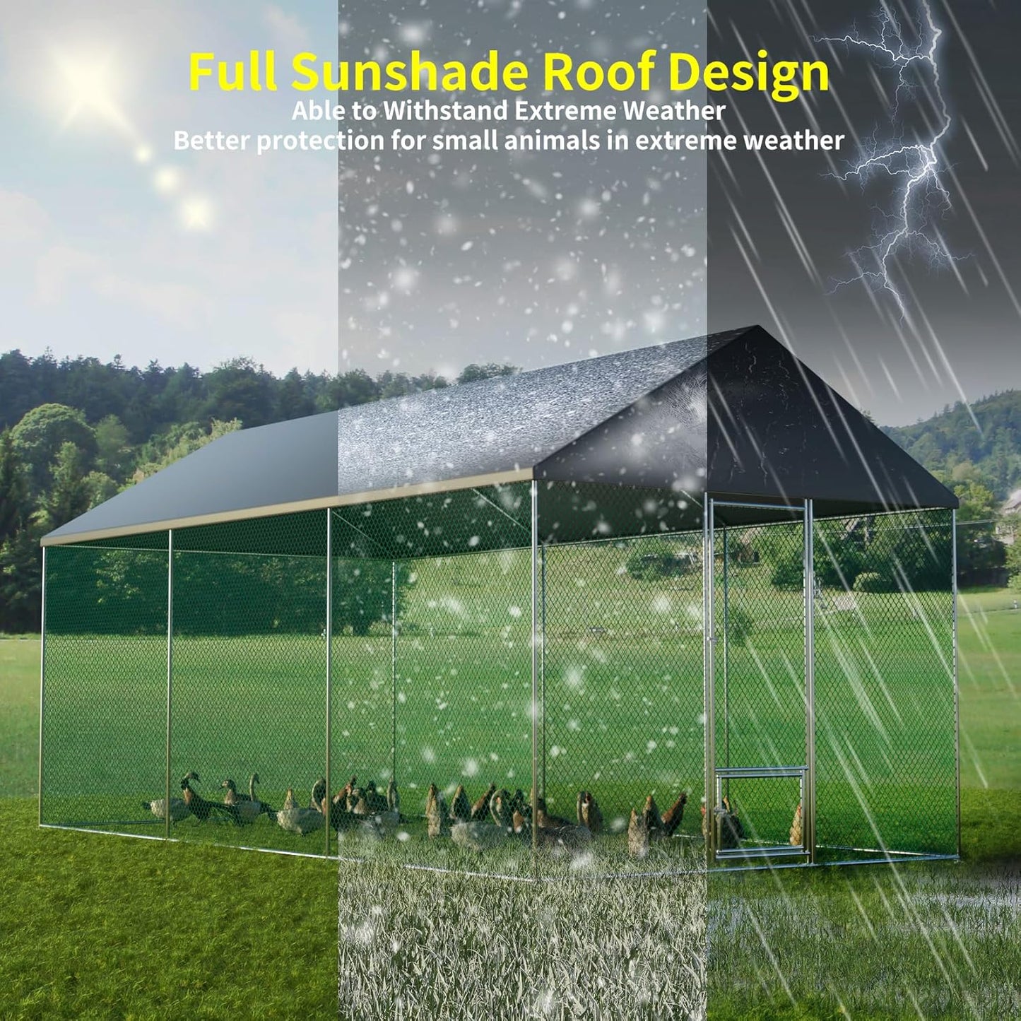 Australia's Best Heavy Duty Walk-In Chicken Coop with Metal Cage - Shop Now