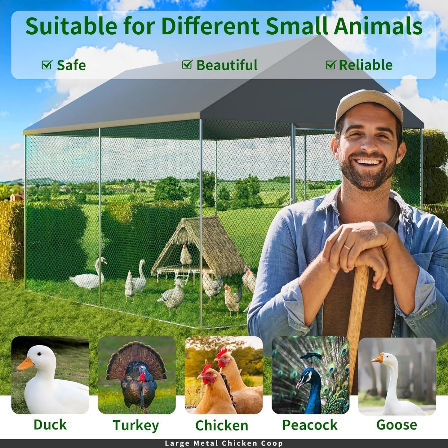 Buy Heavy Duty Chicken Coop with Metal Cage for Your Backyard - Australia