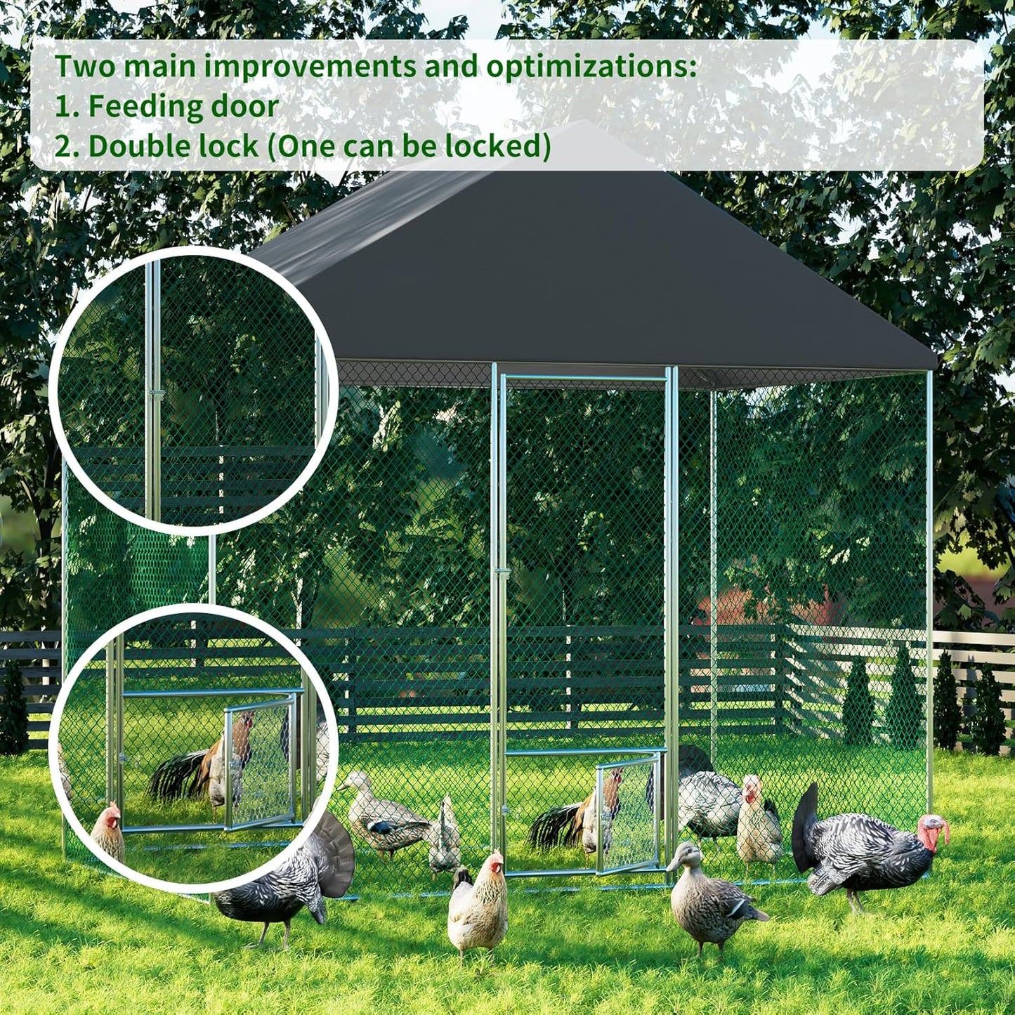 Australia's Best Heavy Duty Walk-In Chicken Coop with Metal Cage - Shop Now