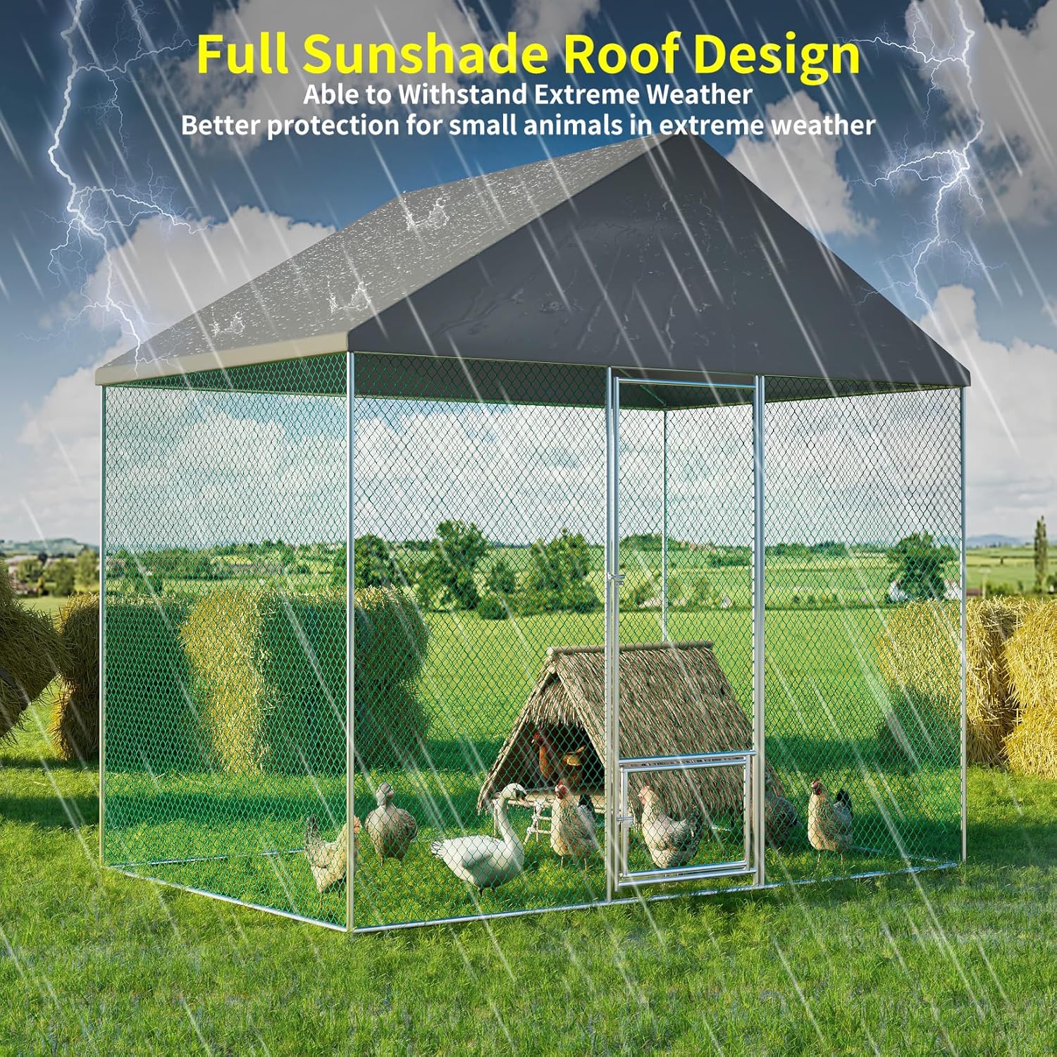 Durable Walk-In Chicken Coop with Metal Cage Available in Australia - Buy Online