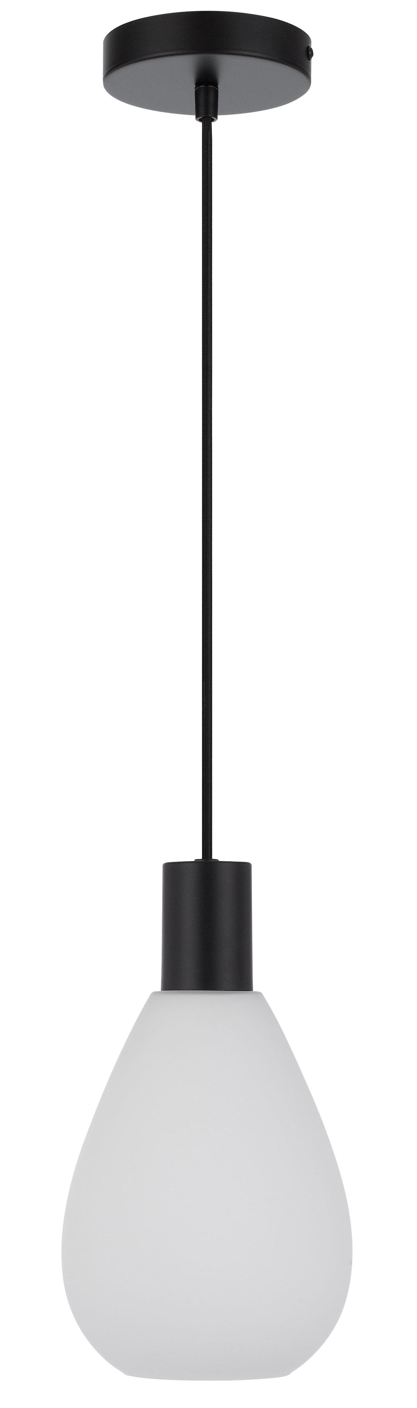 TFS 1 LIGHT PENDANT 25wE27max D:205 H:240 TEX:2m BLACK MATT/OPAL MATT