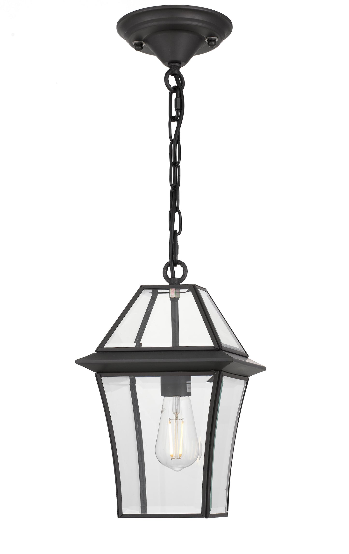 TFS 20 PENDANT 25wE27max L:210 H:300 - IP43 BLACK/CLEAR ROD:290mm + CHAIN:1000