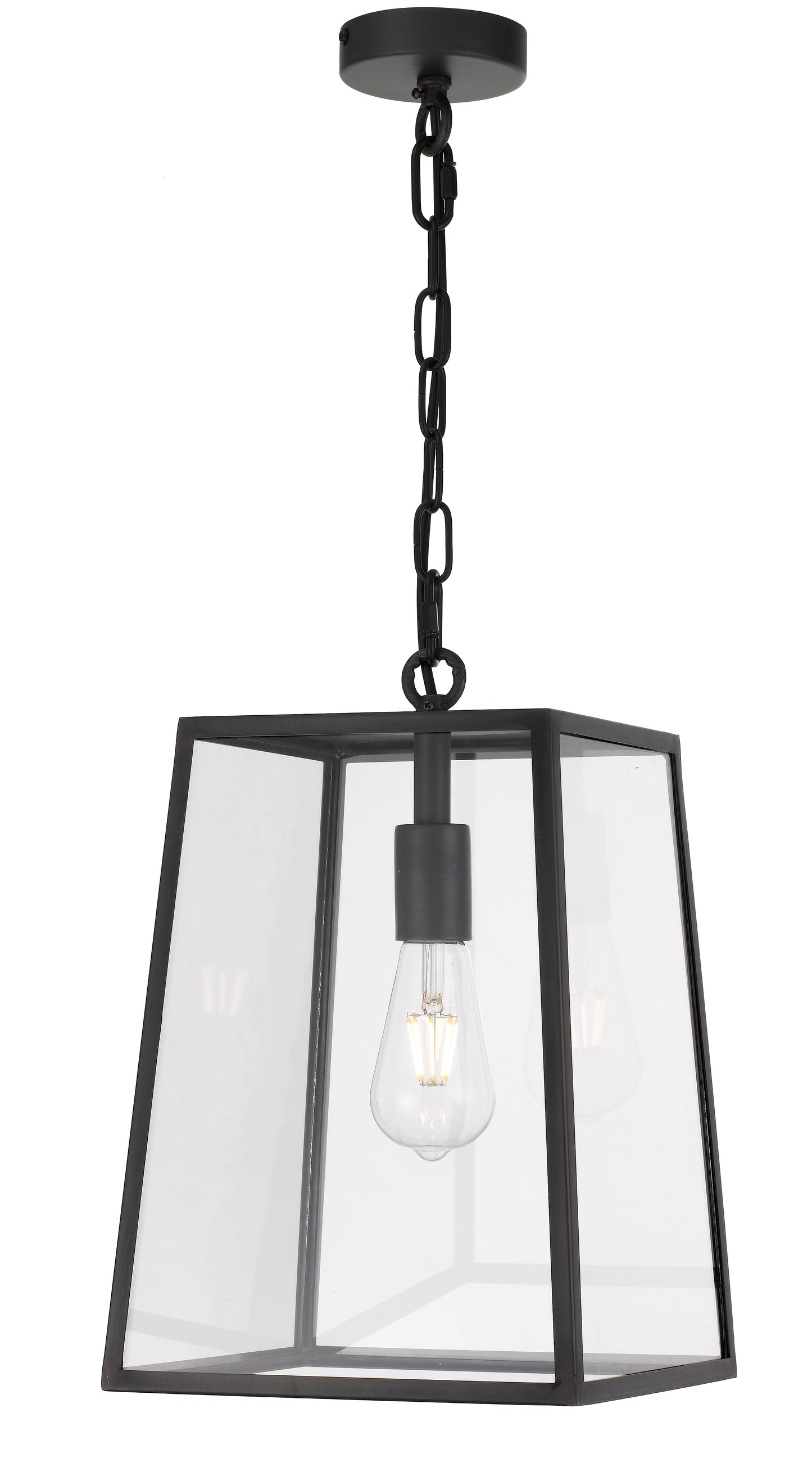 TFS 25 PENDANT 25wE27max L:250 H:335 - BLACK/CLEAR ROD:210mm + CHAIN:1000 IP43