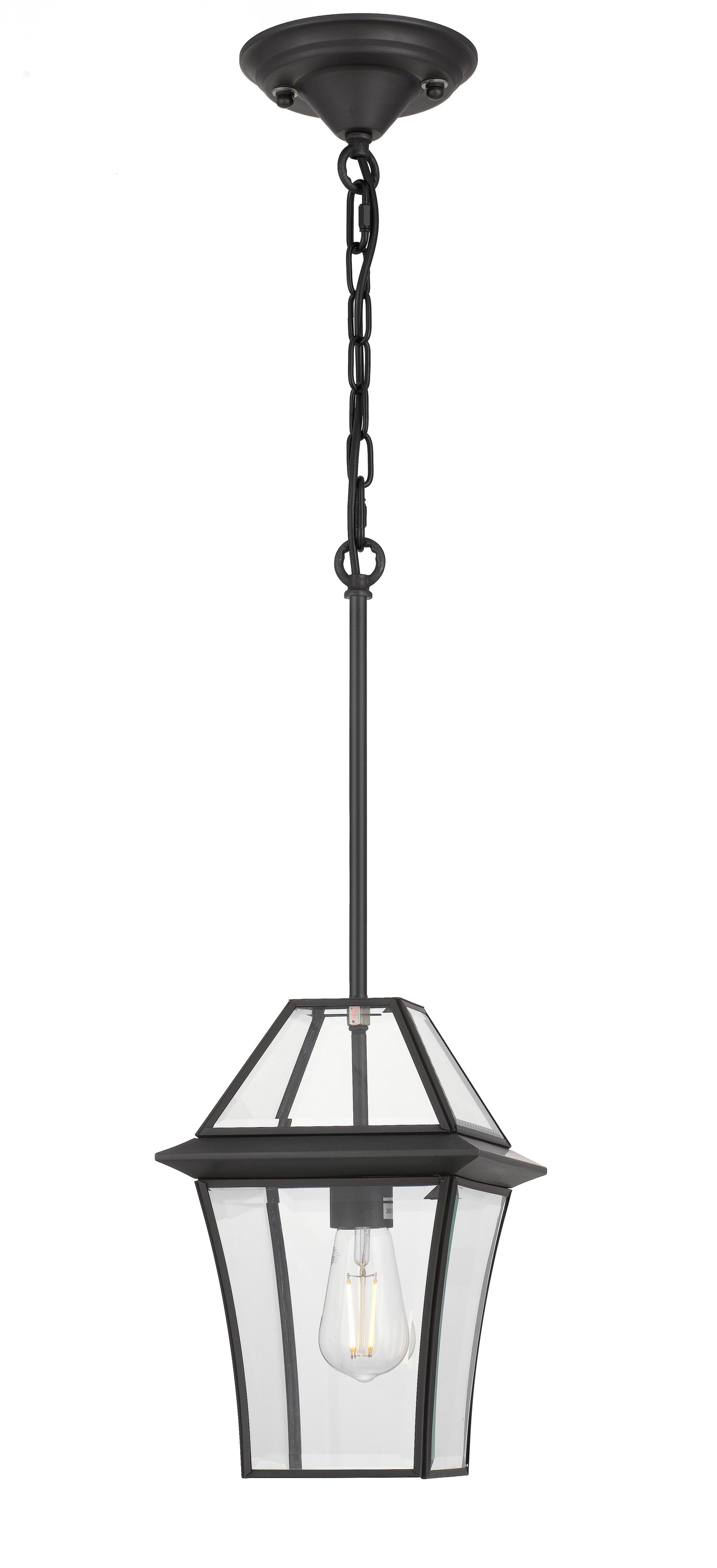 TFS 20 PENDANT 25wE27max L:210 H:300 - IP43 BLACK/CLEAR ROD:290mm + CHAIN:1000