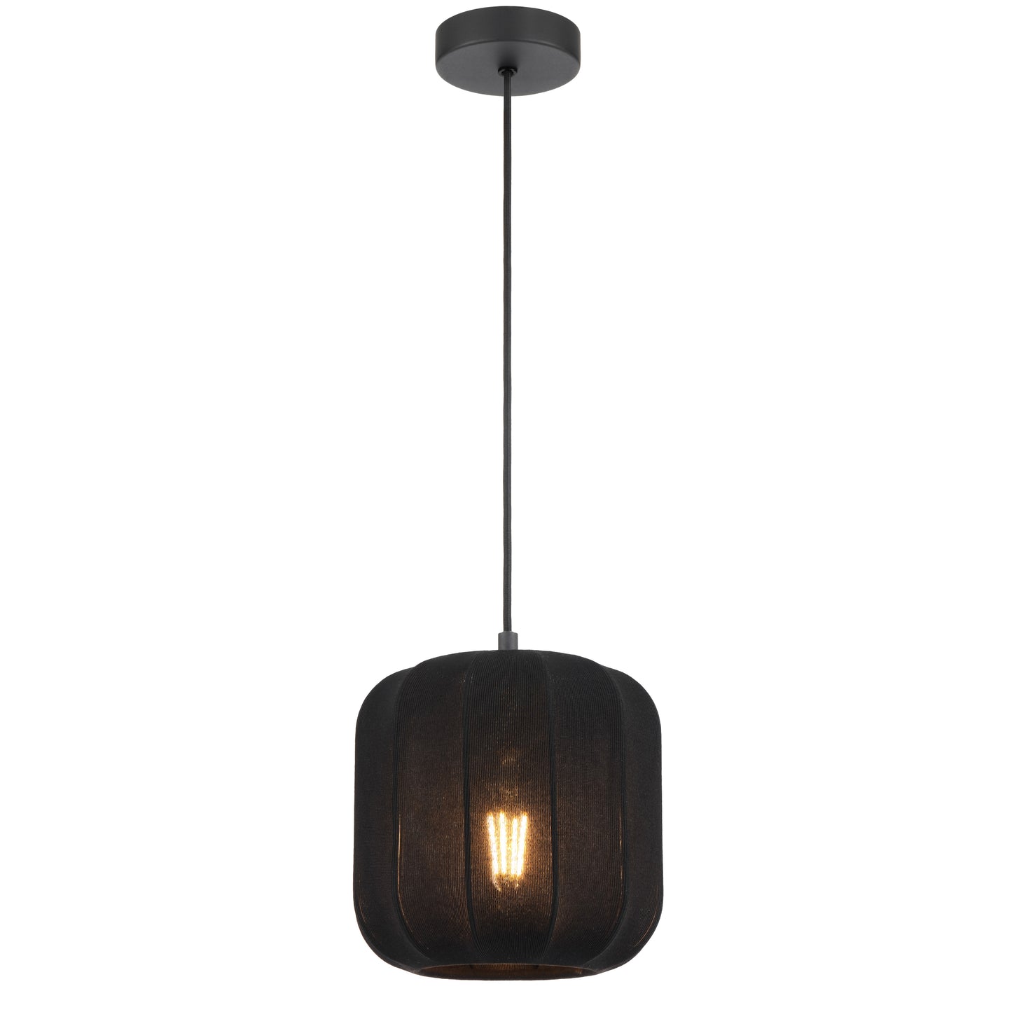 TFS 20 PENDANT 25wE27max D200 H210 cab 2m BLACK