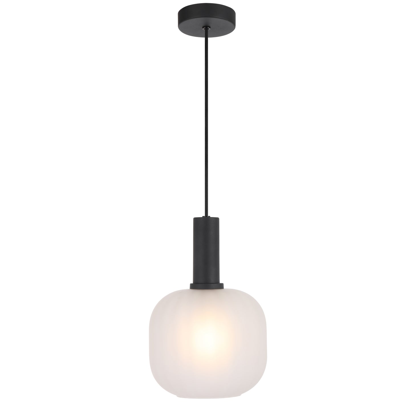 TFS 20CM PENDANT 25wE27max D200 H290 cab 2m BLACK / FROST GLASS