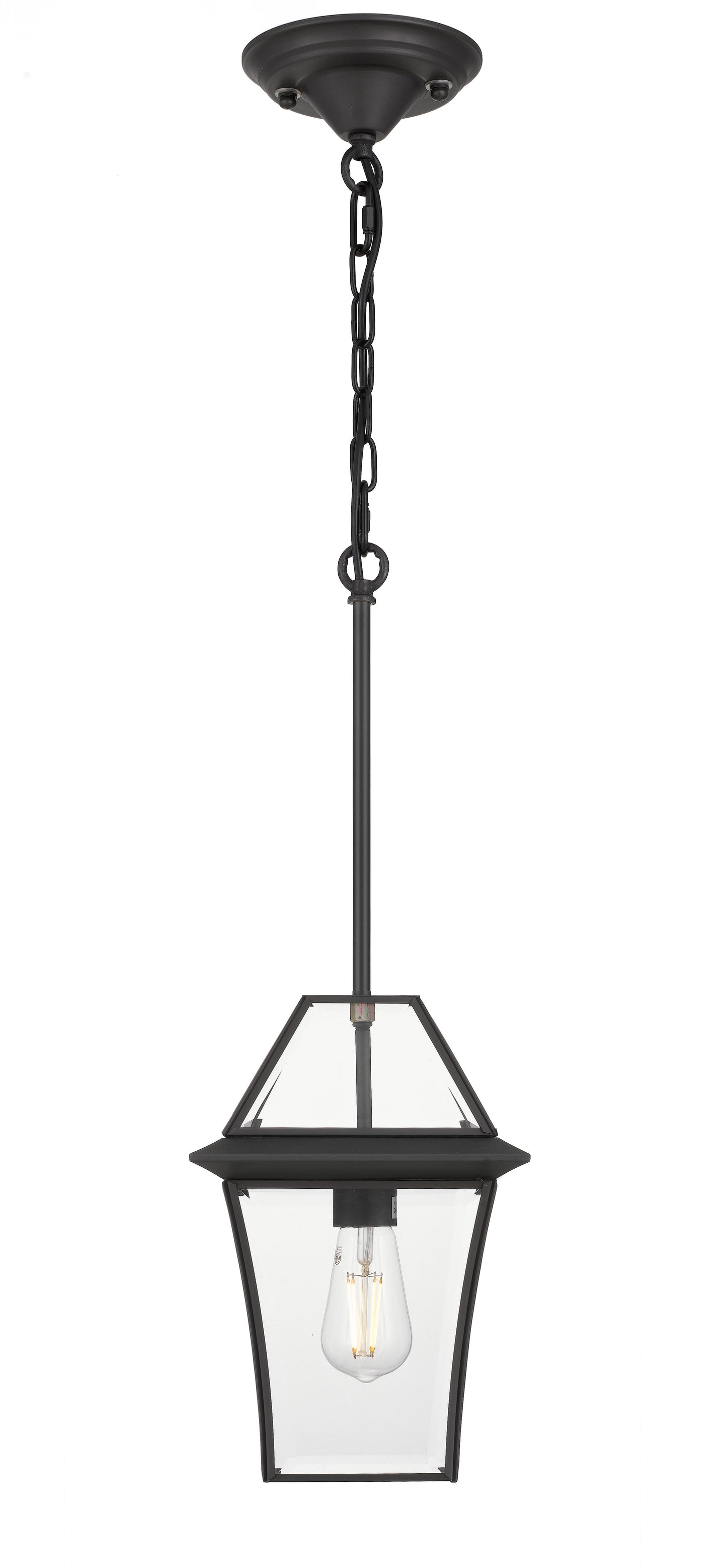 TFS 20 PENDANT 25wE27max L:210 H:300 - IP43 BLACK/CLEAR ROD:290mm + CHAIN:1000
