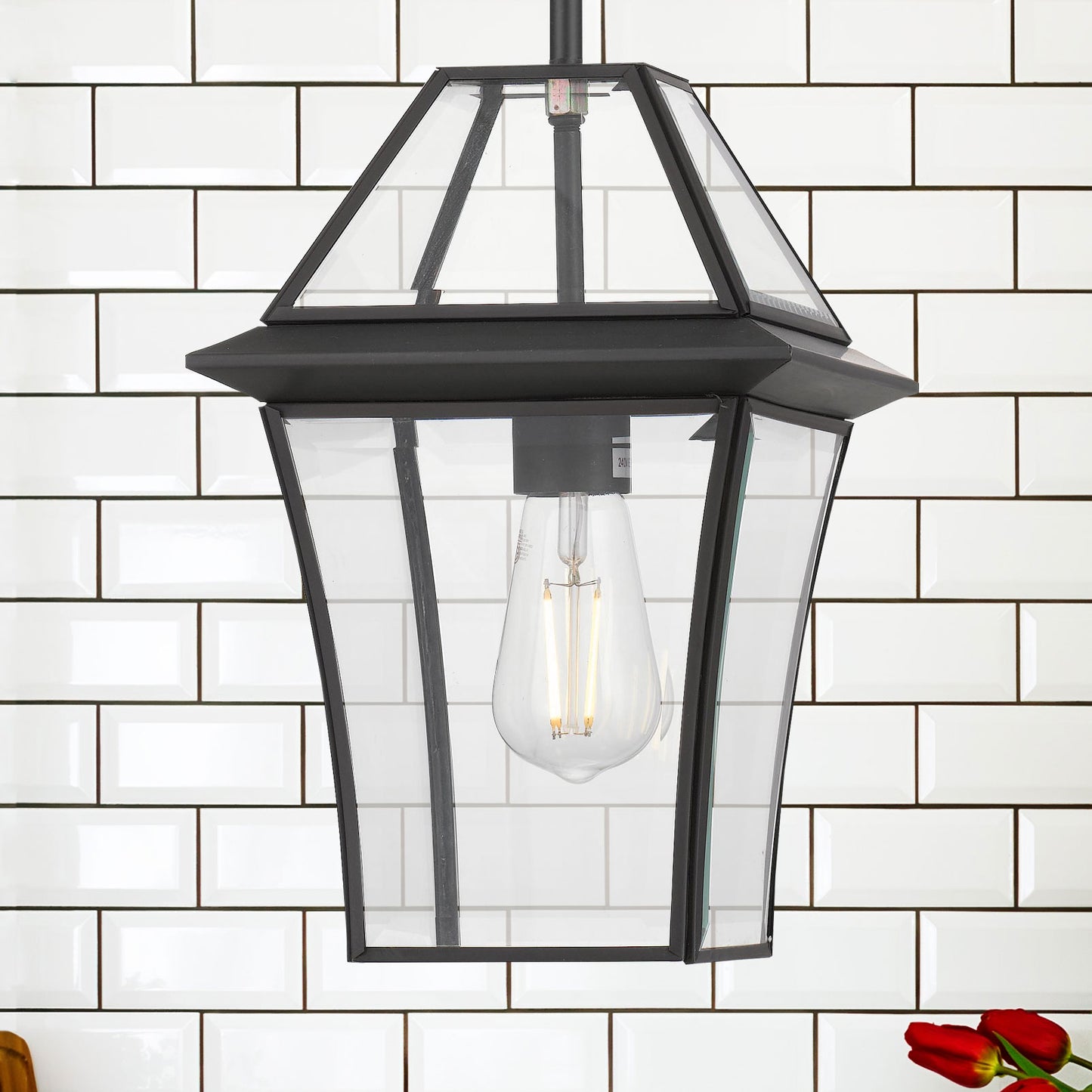 TFS 20 PENDANT 25wE27max L:210 H:300 - IP43 BLACK/CLEAR ROD:290mm + CHAIN:1000