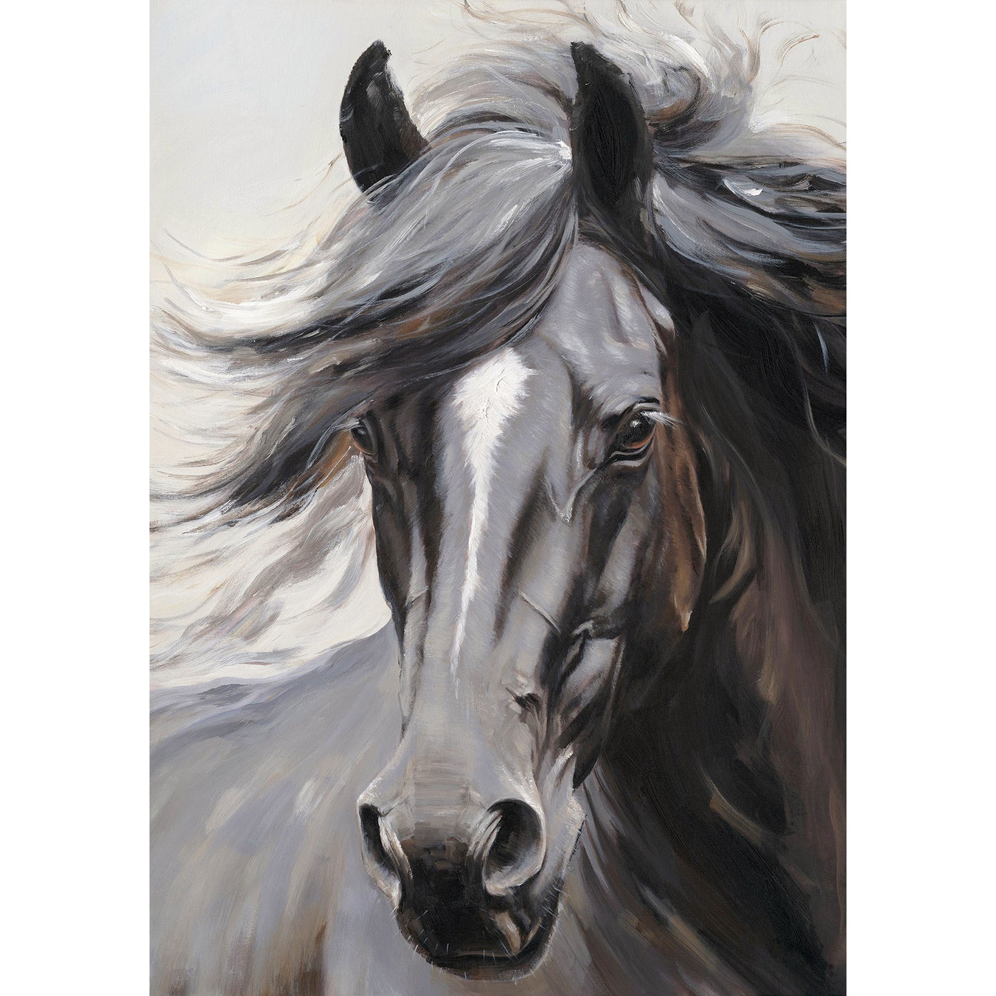 Black Horse Canvas Print