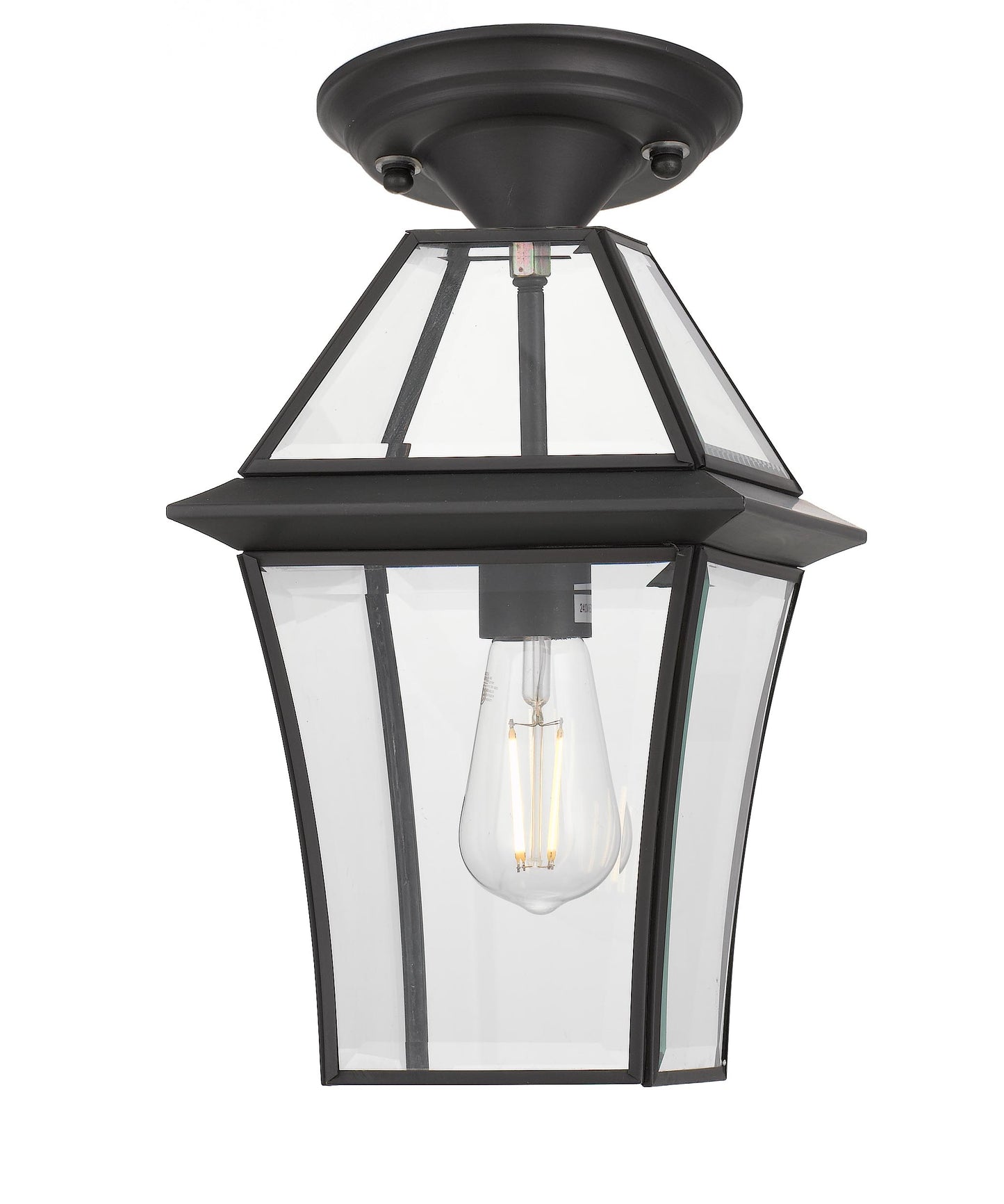 TFS 20 PENDANT 25wE27max L:210 H:300 - IP43 BLACK/CLEAR ROD:290mm + CHAIN:1000