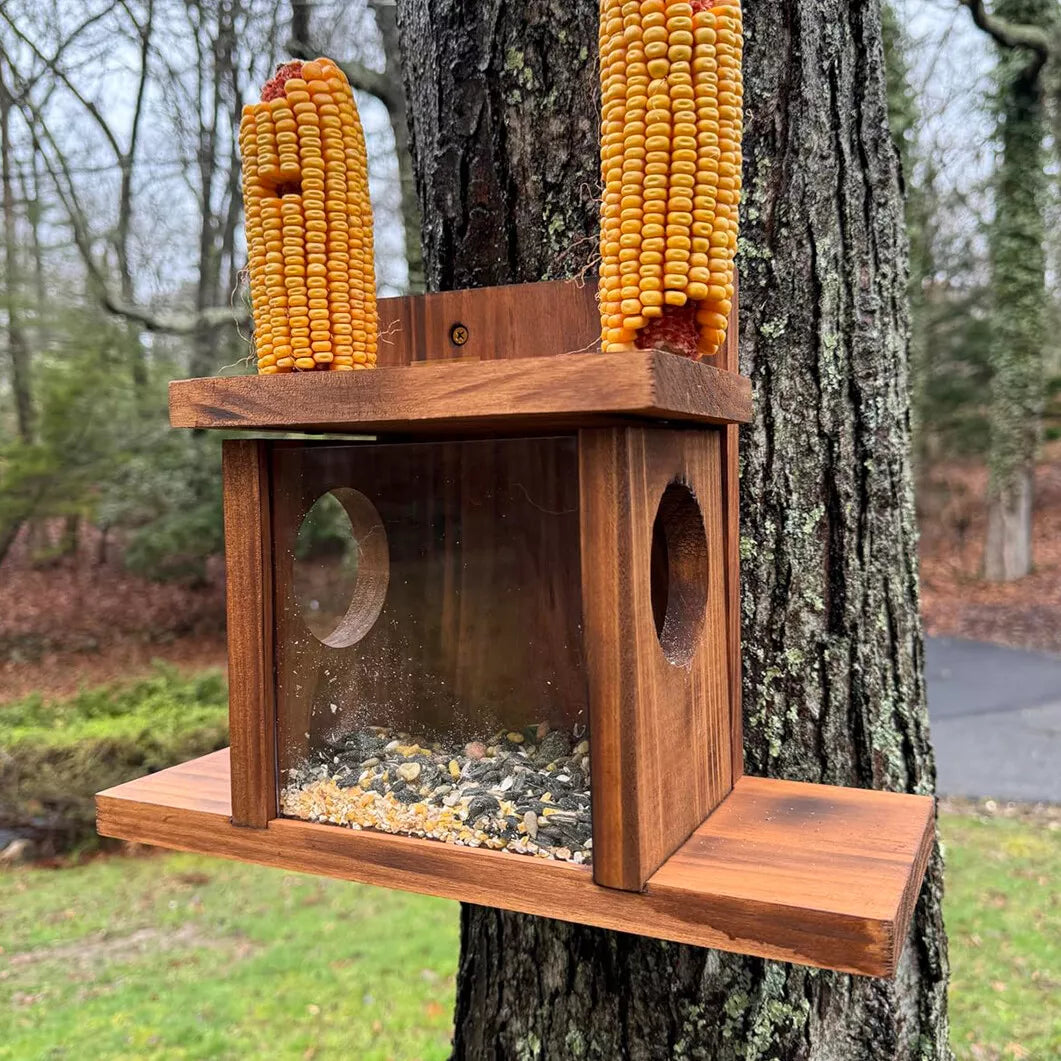 Buy Squirrel Feeder Online Australia