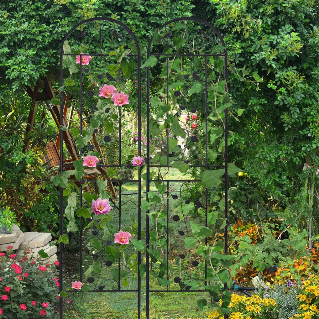 2pcs Metal Climbing Trellis for your plants - Available to buy online in Australia