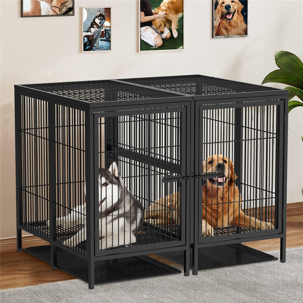 Shop Now for P&P XXXL Dog Crate – Raised Pet Cage for Dogs in Australia