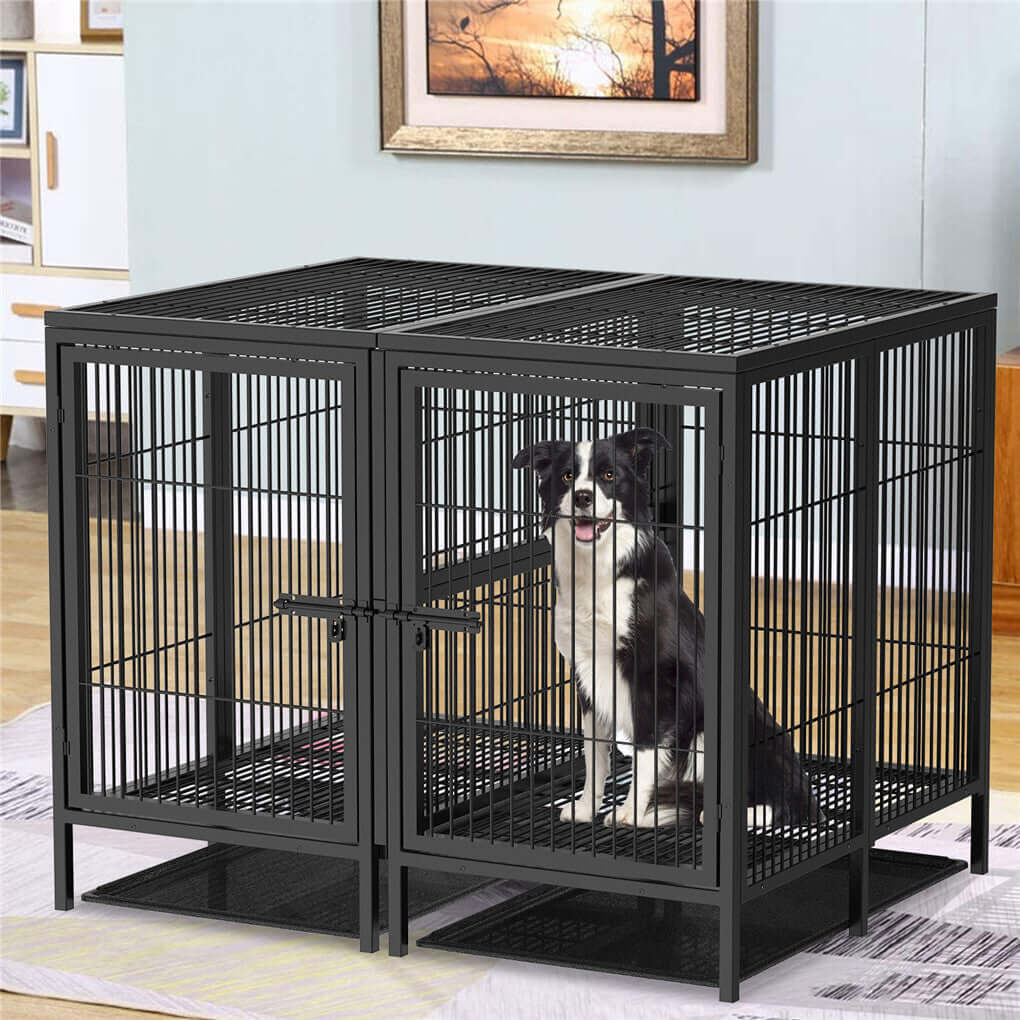 Buy P&P XXXL Raised Pet Cage – Comfortable for Large Dogs in Australia