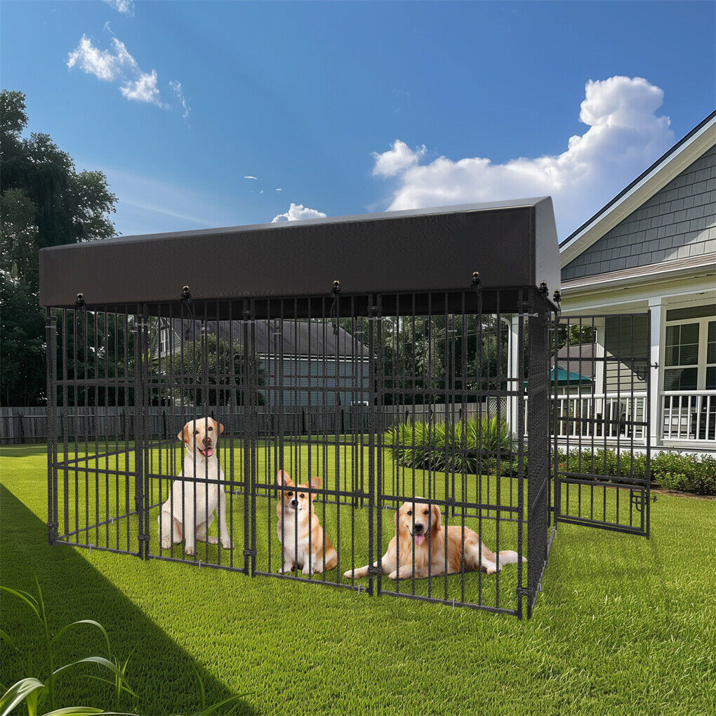 Buy Online: High-Quality Dog Kennel with Feeding Door – Australia