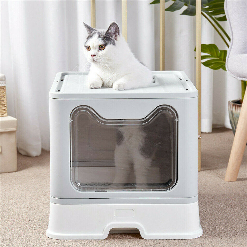 Shop now for the innovative P&P Self-Cleaning Litter Box – Available Australia-wide