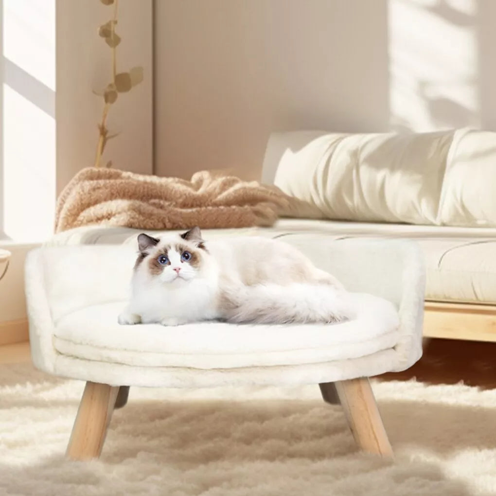 Elegant Dog Sofa Bed Australia