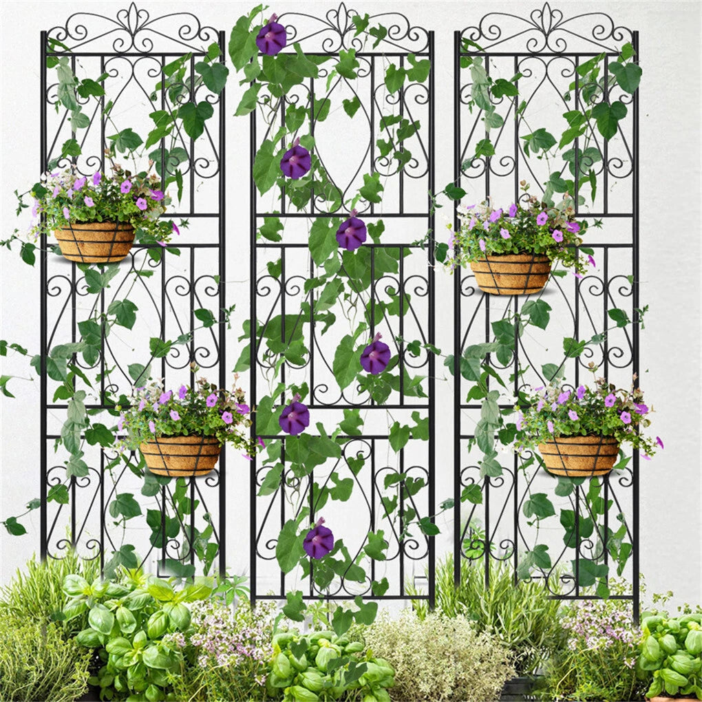 Set of 2 Tall Decorative Iron Trellises for Climbing Plants & Garden Walls