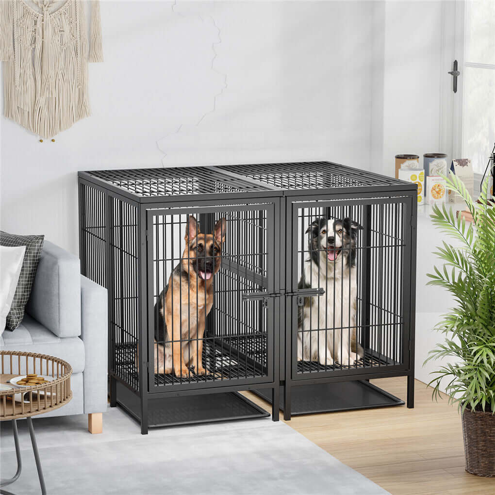 Shop P&P XXXL Raised Pet Cage – Perfect for Big Dogs in Australia