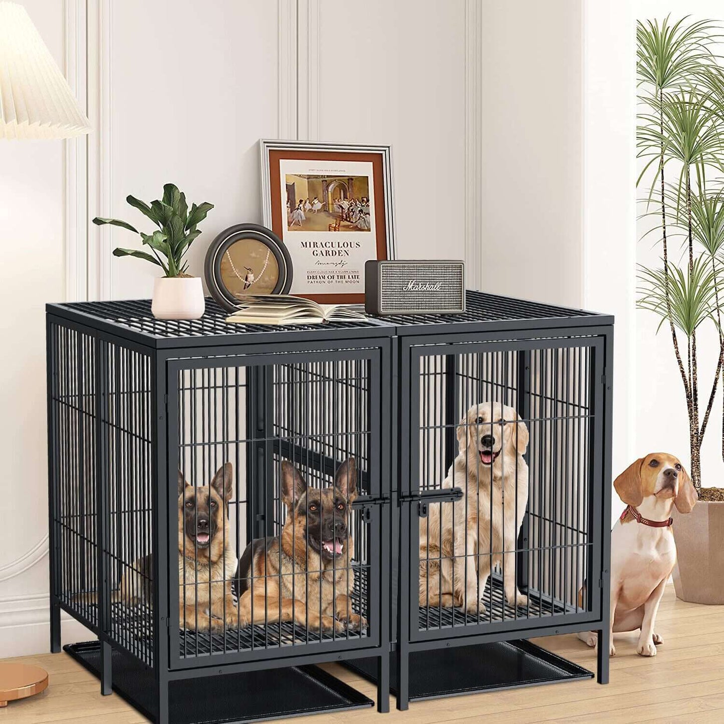 Large P&P XXXL Dog Crate – Raised Pet Cage Available in Australia