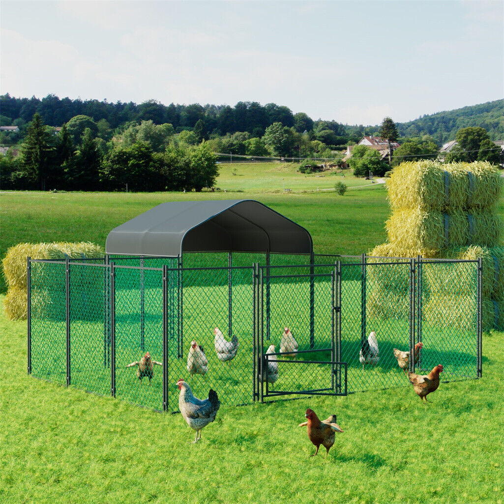 P&P 3.9x3.1x1.5m Large Walk In Chicken Run Galvanised Chicken Cage Coop with Cover