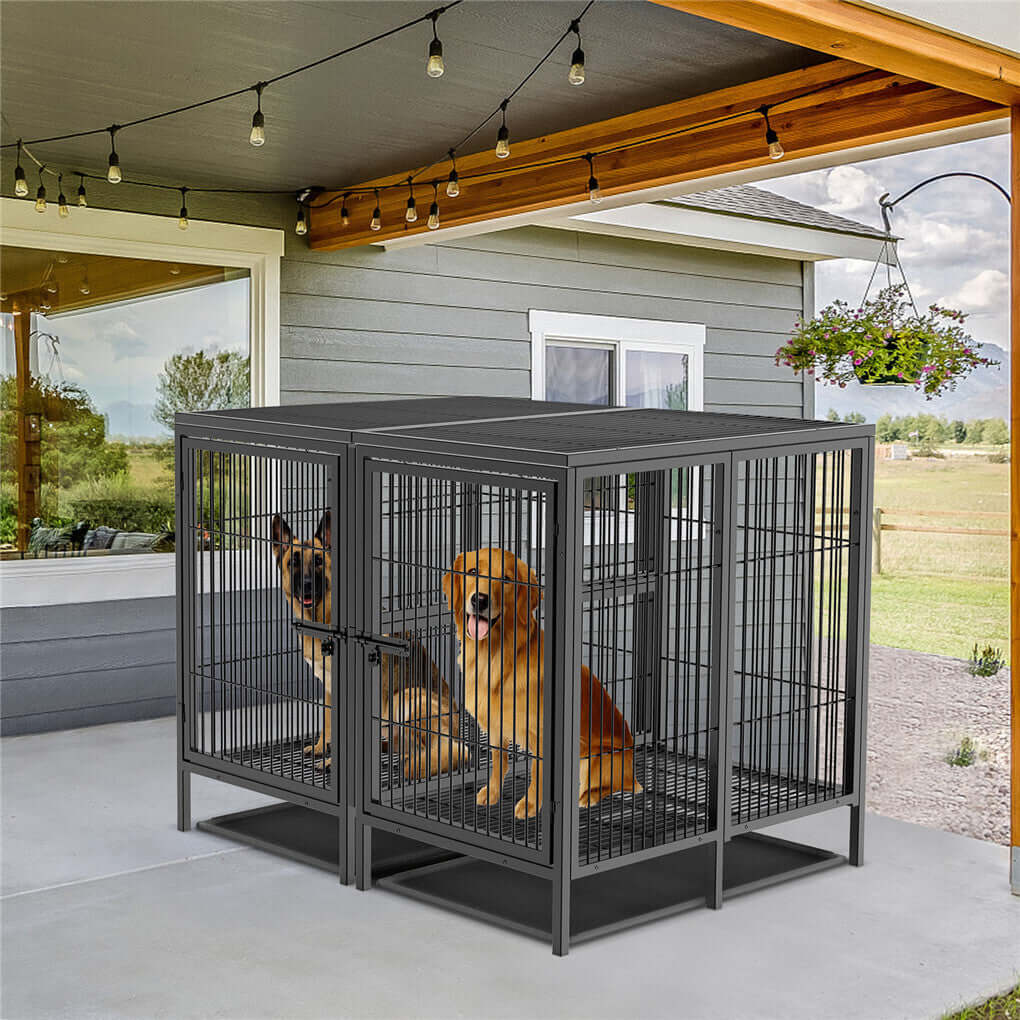Buy P&P XXXL Raised Pet Cage for Extra Large Dogs – Australia Delivery