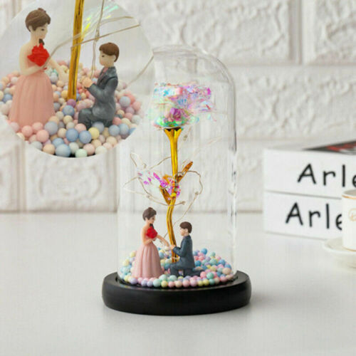 Buy Valentine’s Gift Rose in Glass Dome – Shop Australia