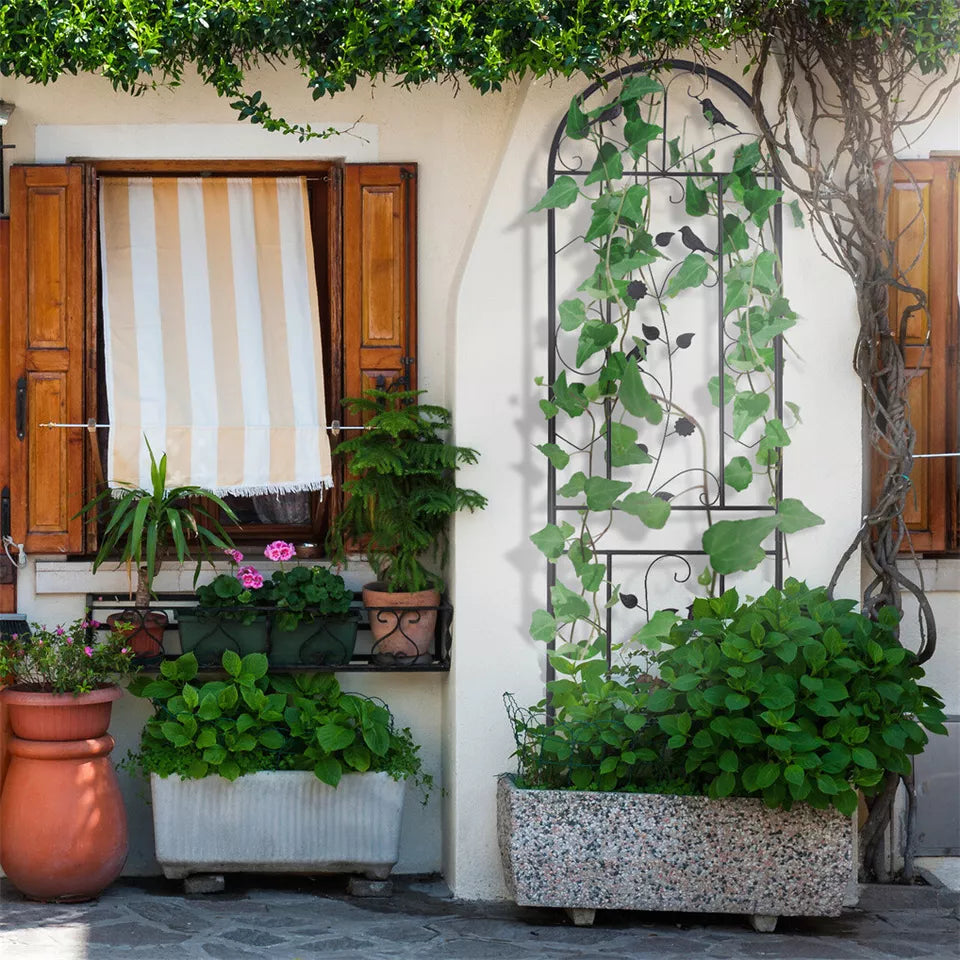 Rustproof Metal Climbing Trellis for beautiful plant displays - Buy online in Australia