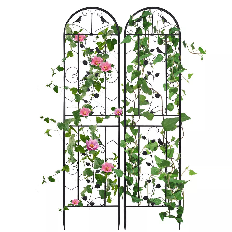 Enhance your garden with 2pcs Rustproof Metal Climbing Trellis - Buy online in Australia