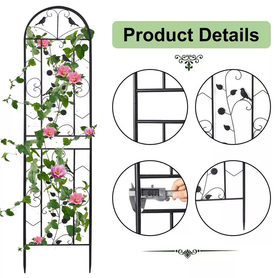 2pcs Metal Climbing Trellis - Perfect for Australian gardens, buy online today