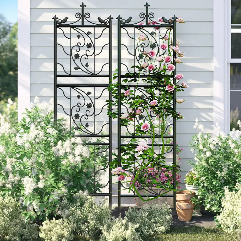 Shop Now: Durable 2pcs Thick Metal Garden Trellis for Your Australian Garden