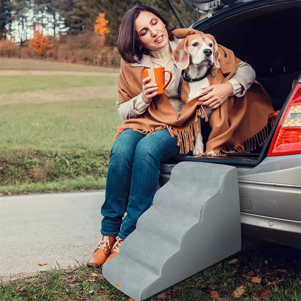 Buy Curved Dog Ramp Stairs for Training & Bed in Australia - Shop Now