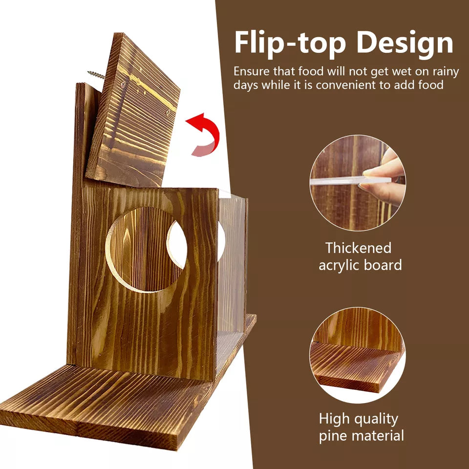 Shop Squirrel Feeder for Corn & Peanuts – Australia