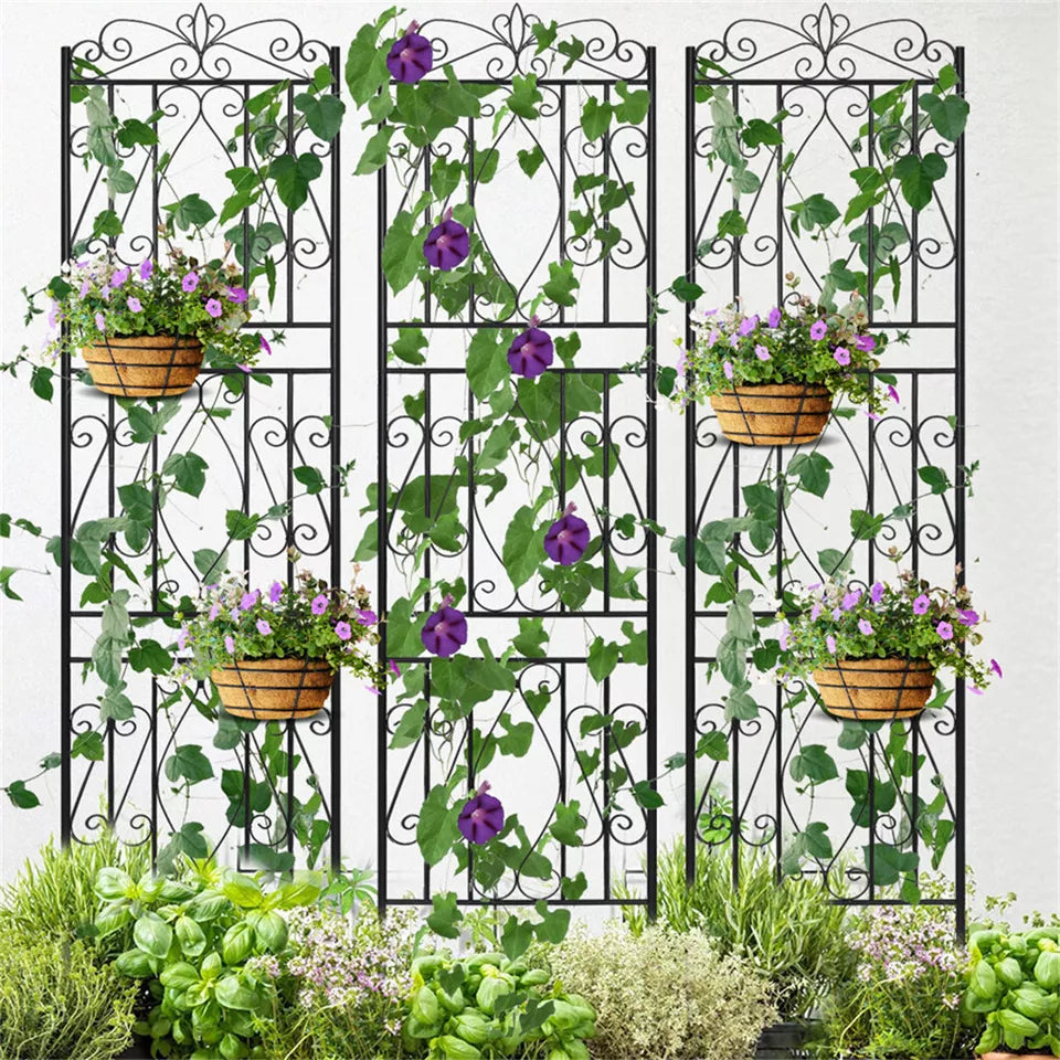 Affordable garden trellis online – fast shipping in Australia