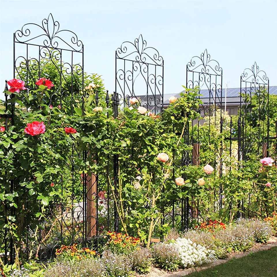 Garden trellis for climbing plants – buy in Australia