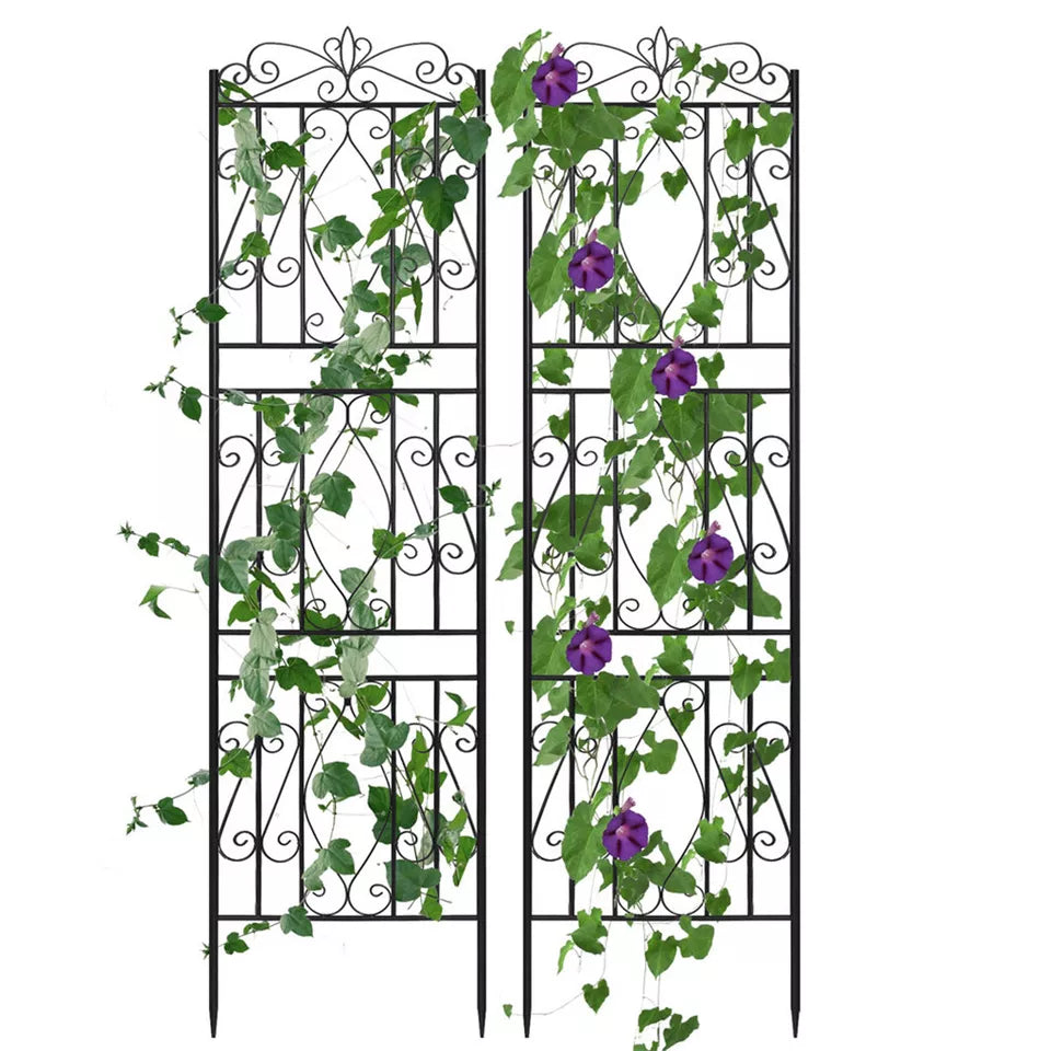 Modern yard trellis design – available in Australia
