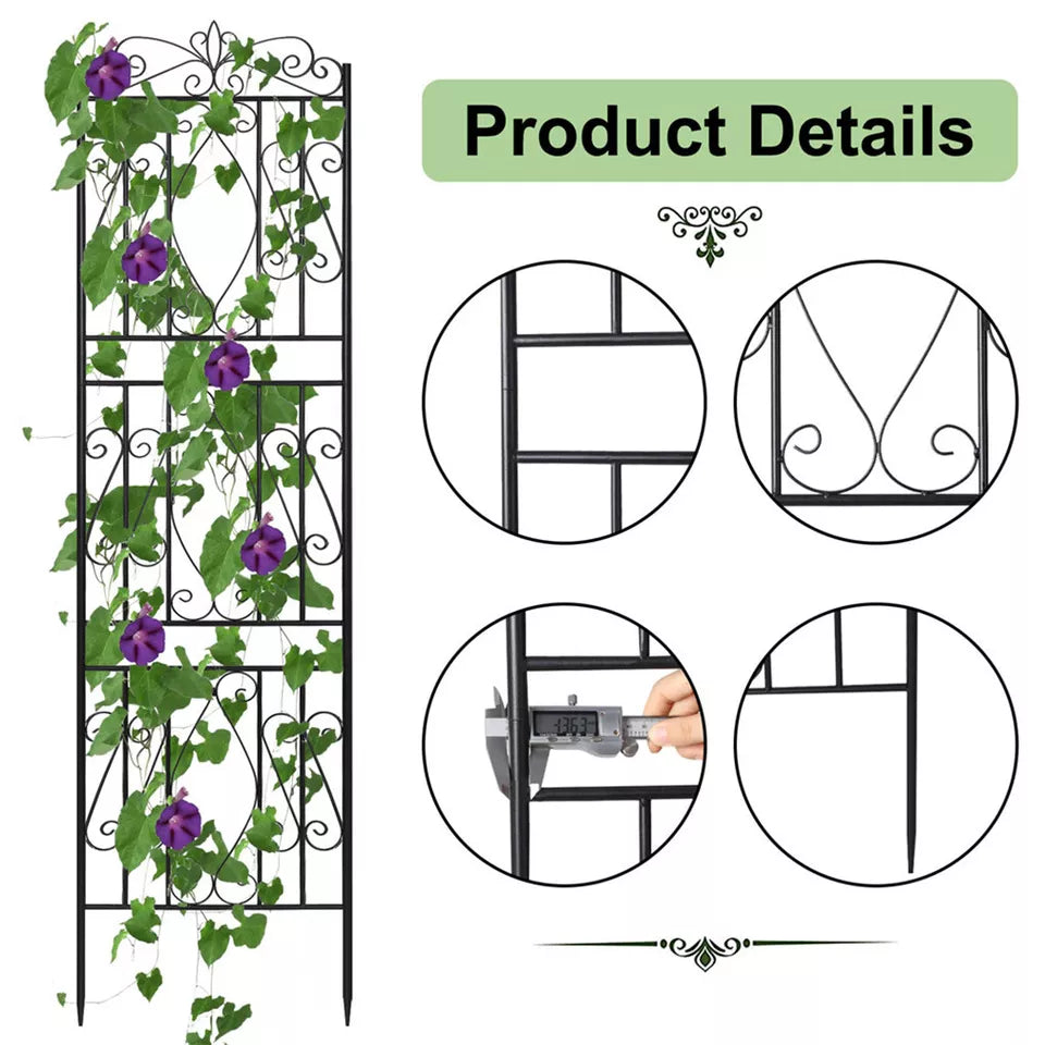 Shop metal garden trellis online – Australia