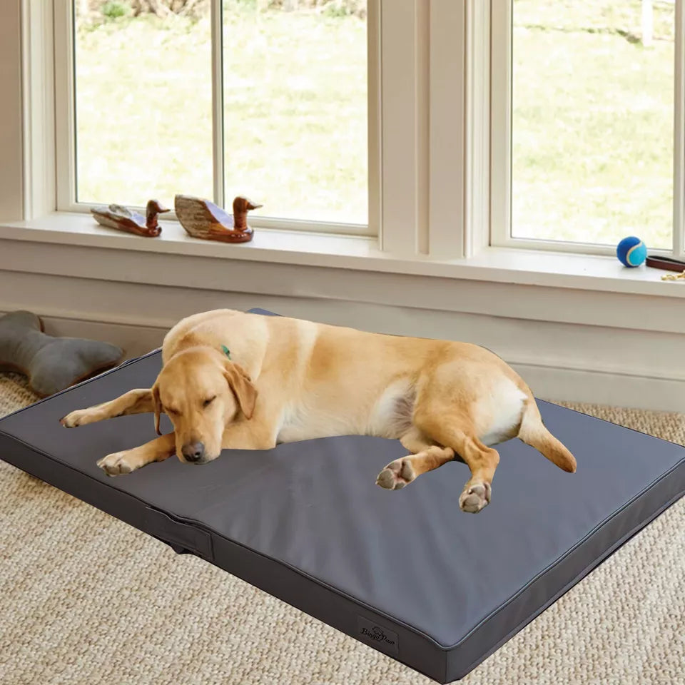 Grey Leather Dog Bed for Sale Australia