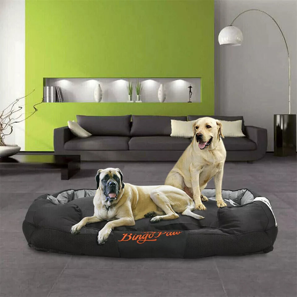 Orthopedic Dog Bed with Cushion AU