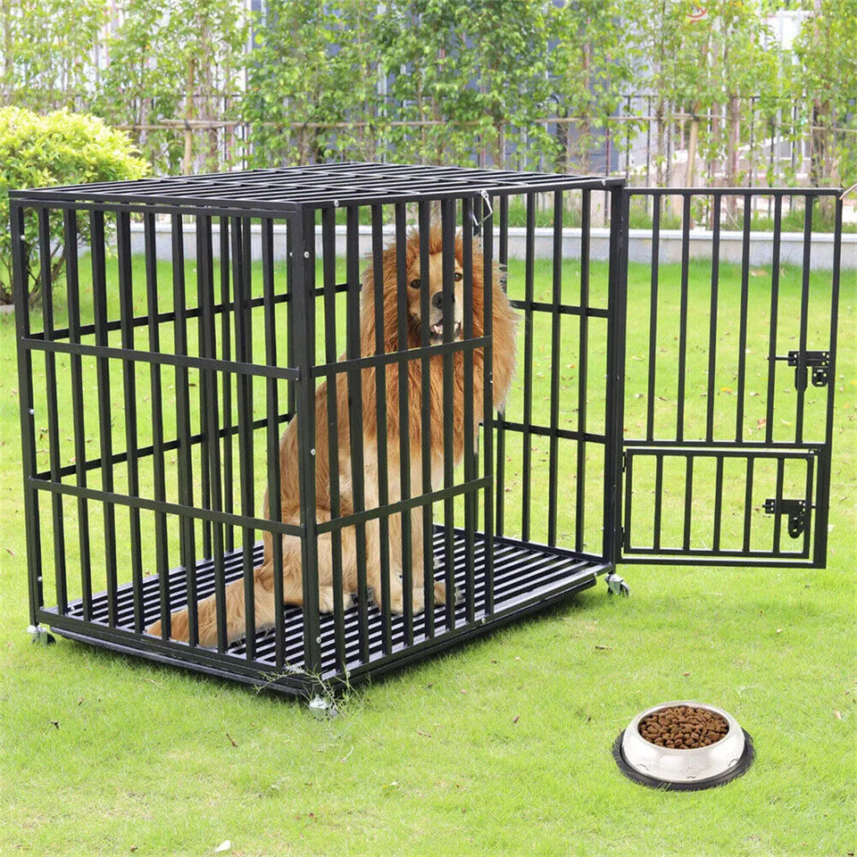 Best heavy duty dog cages – Buy online Australia
