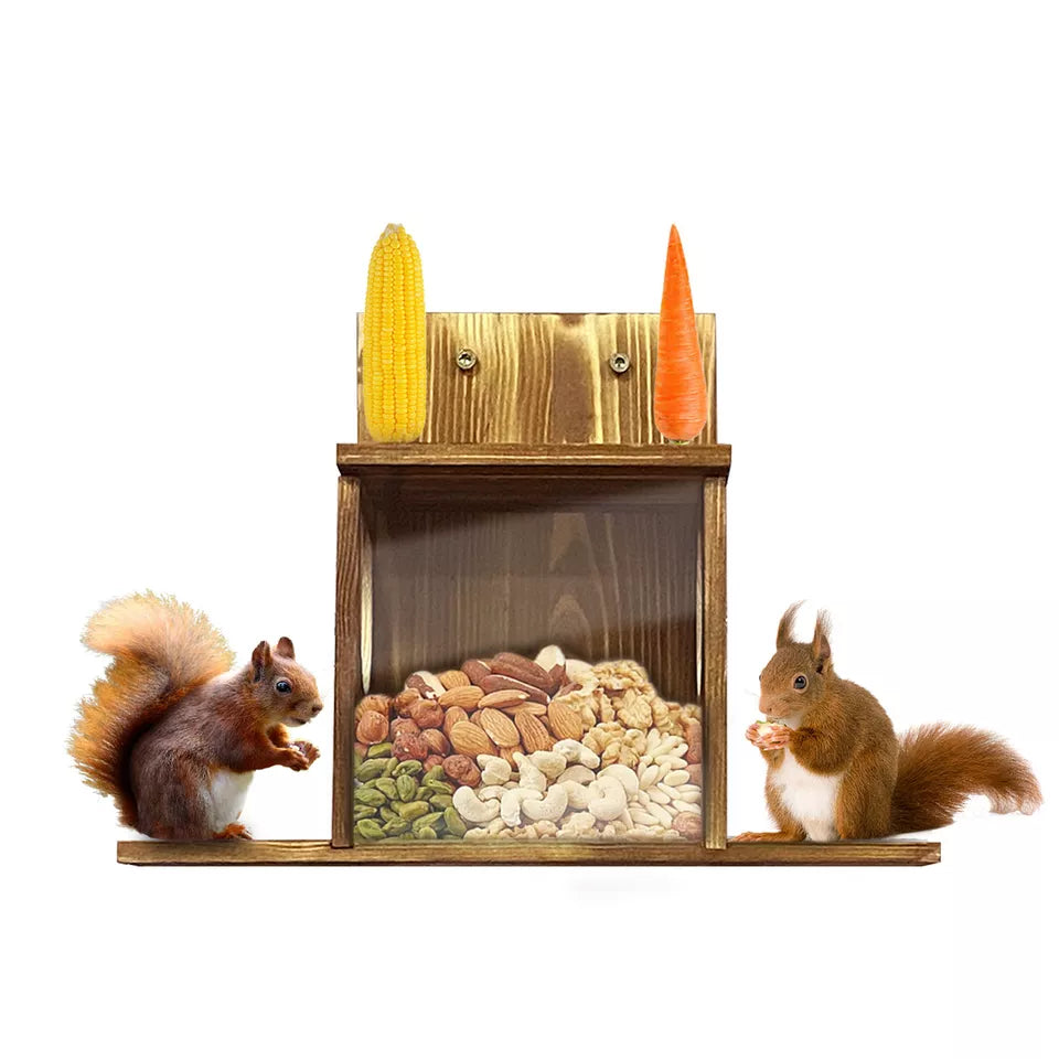 Buy Squirrel Feeder for Corn & Peanuts – Shop Now AU