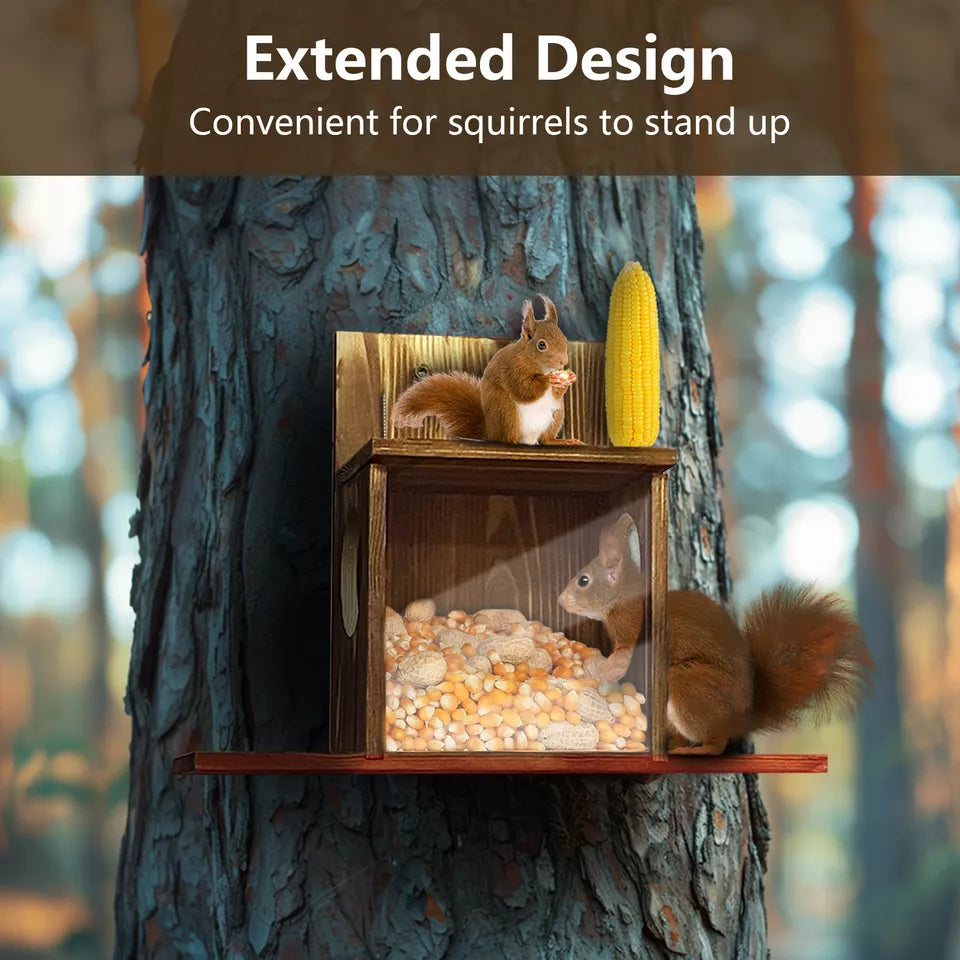 Shop Squirrel Feeder for Peanuts & Corn – Australia