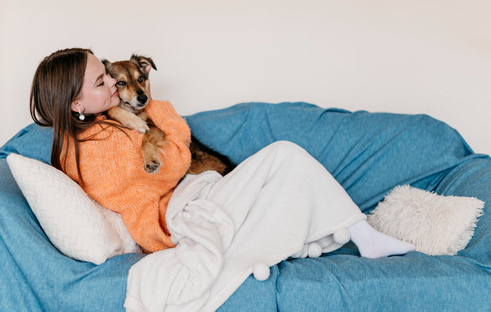 Animals & Pets
