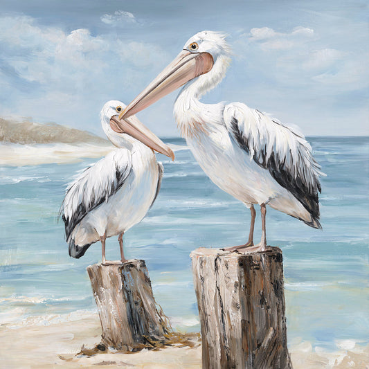 Pelicans Canvas Print