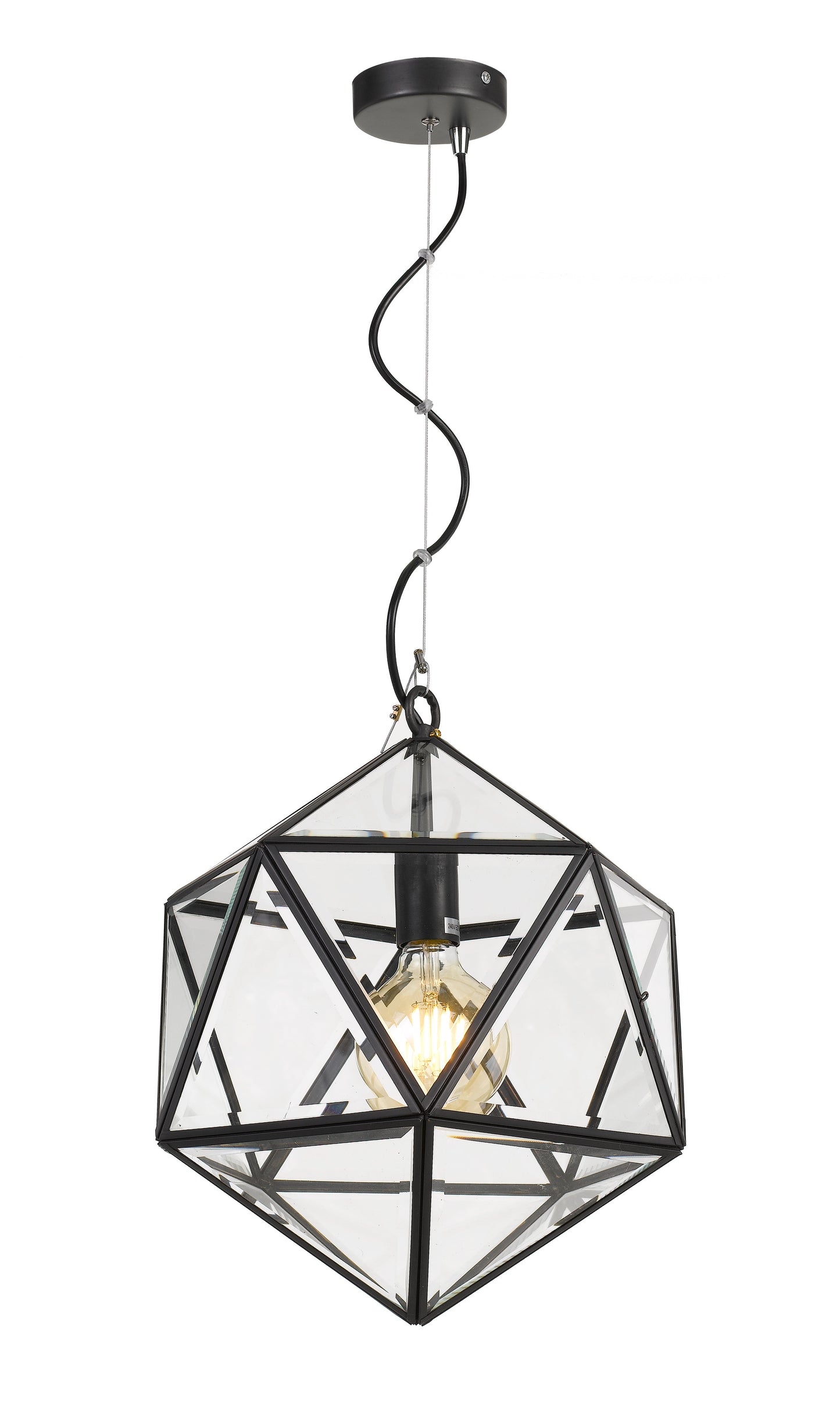 TFS 30 PENDANT 25wE27max D:300 H:350 BLACK / CLEAR