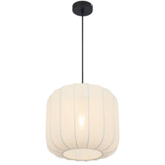 TFS 30 PENDANT 25wE27max D300 H275 cab 2m WHITE
