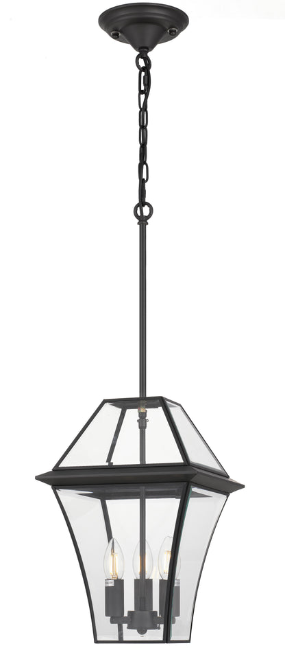 TFS 27 PENDANT 25wE14max L:275 H:400 - IP43 BLACK/CLEAR ROD:300mm + CHAIN:1000