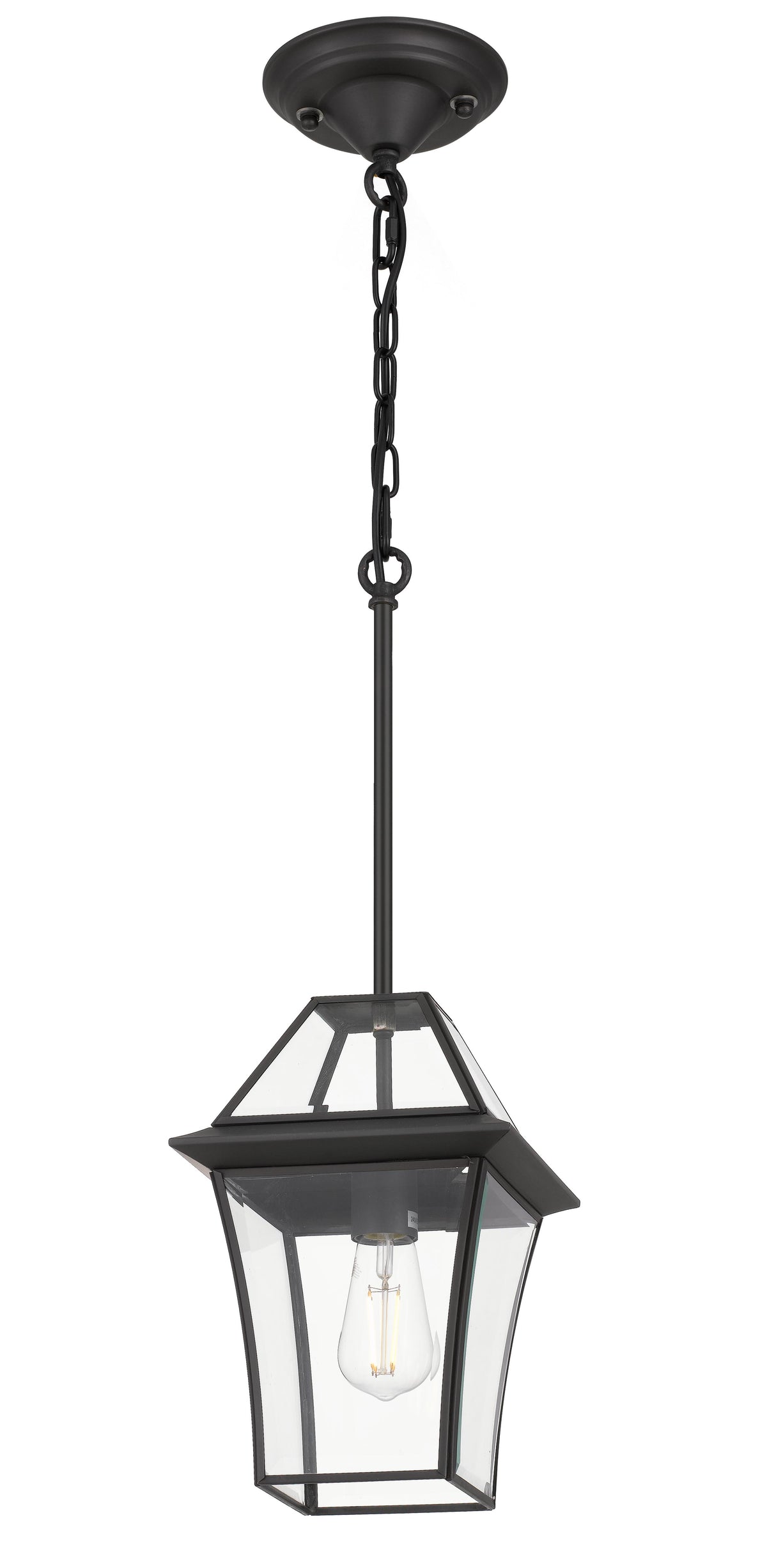 TFS 20 PENDANT 25wE27max L:210 H:300 - IP43 BLACK/CLEAR ROD:290mm + CHAIN:1000