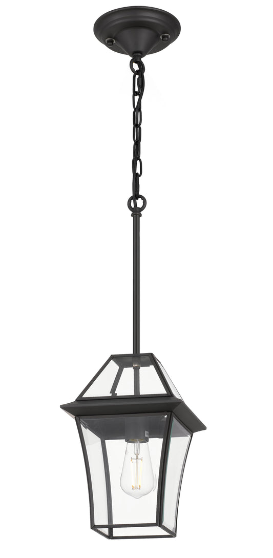 TFS 20 PENDANT 25wE27max L:210 H:300 - IP43 BLACK/CLEAR ROD:290mm + CHAIN:1000